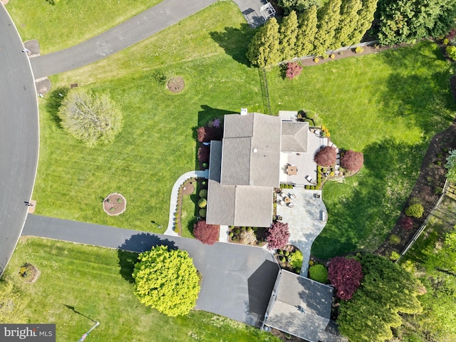 drone / aerial view