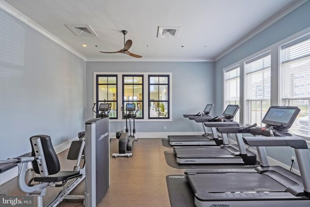 workout area featuring visible vents, crown molding, baseboards, and ceiling fan