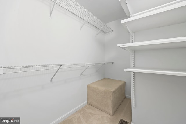spacious closet with carpet