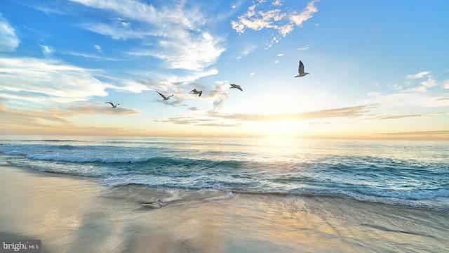 water view featuring a beach view