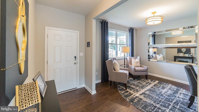 entrance foyer with baseboards and wood finished floors