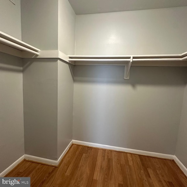 spacious closet featuring wood finished floors