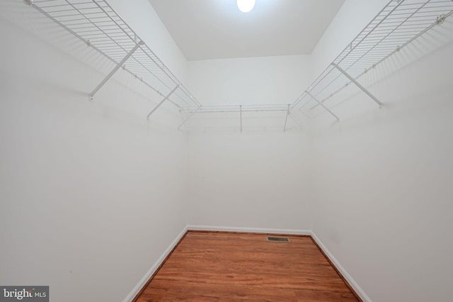 walk in closet featuring visible vents and wood finished floors