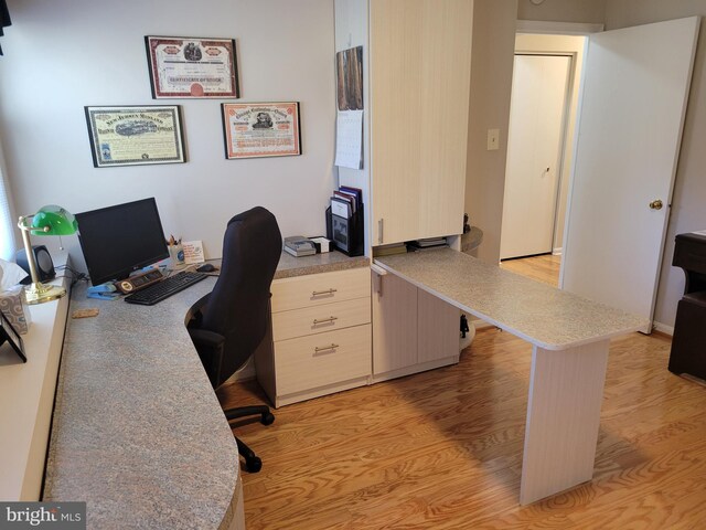 office featuring light wood finished floors