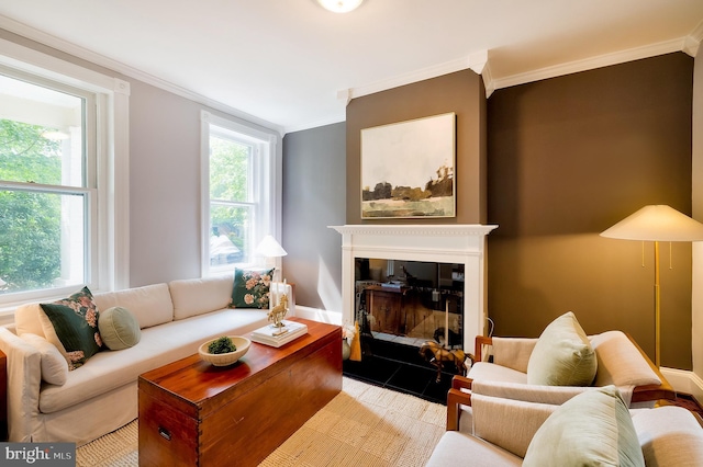 209 11th St NE, Washington, DC 20002 - living room featuring ornamental molding, a glass covered fireplace, and baseboards