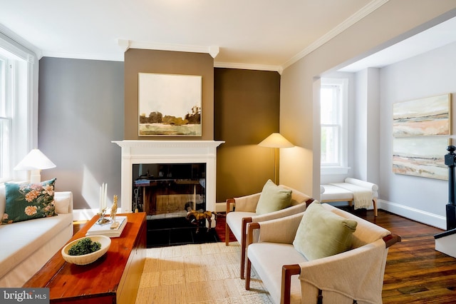 209 11th St NE, Washington, DC 20002 - living room featuring wood finished floors, crown molding, and a fireplace