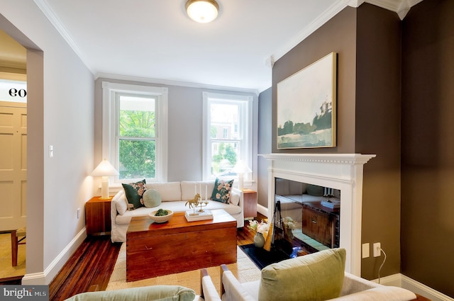 209 11th St NE, Washington, DC 20002 - living room with ornamental molding, wood finished floors, baseboards, and a glass covered fireplace