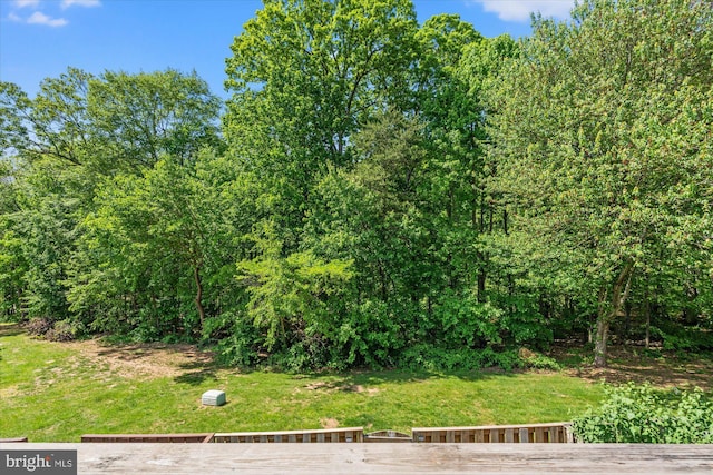 7232 Cherwell Ln, Alexandria, VA 22315 - view of grassy yard