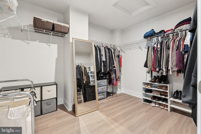 walk in closet featuring attic access and wood finished floors