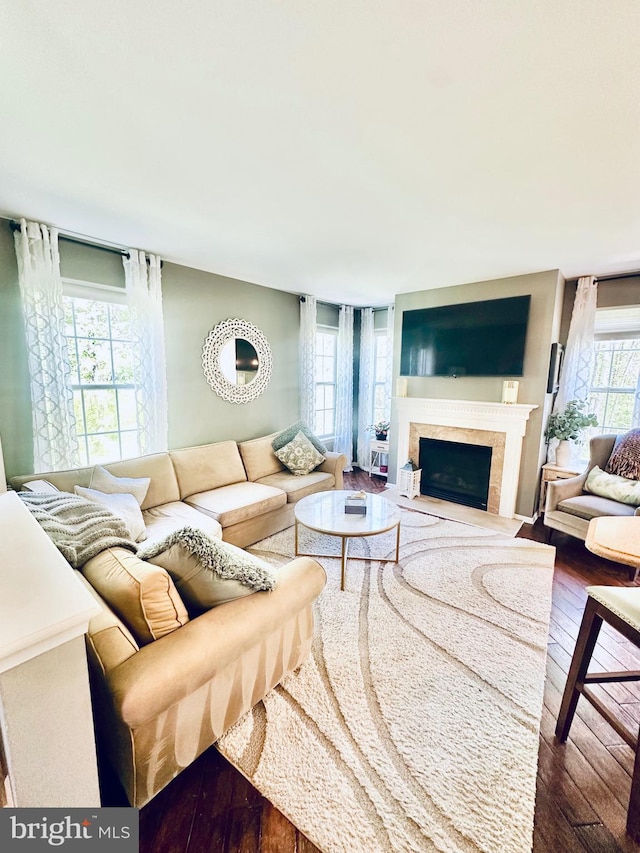 living area featuring a fireplace with flush hearth, a healthy amount of sunlight, and dark wood-type flooring