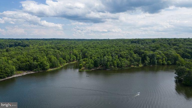 bird's eye view with a water view and a view of trees
