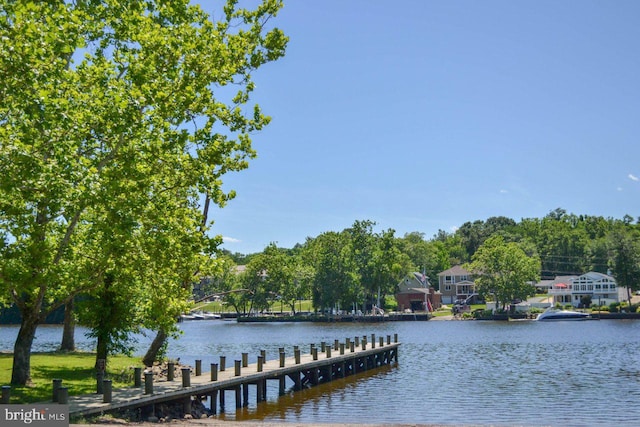 dock area with a water view