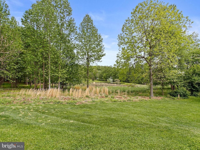 2204 Messina Ct, Eldersburg, MD 21784 - view of grassy yard