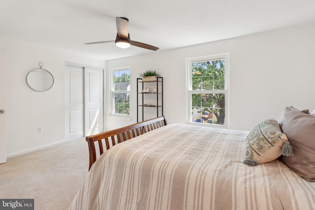 carpeted bedroom featuring a ceiling fan, baseboards, multiple windows, and a closet
