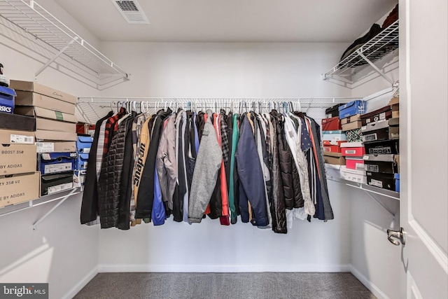 520 View Point Way, Fredericksburg, VA 22405 - walk in closet with carpet flooring