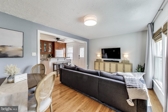 living room featuring a healthy amount of sunlight, a textured ceiling, and light wood-style flooring
