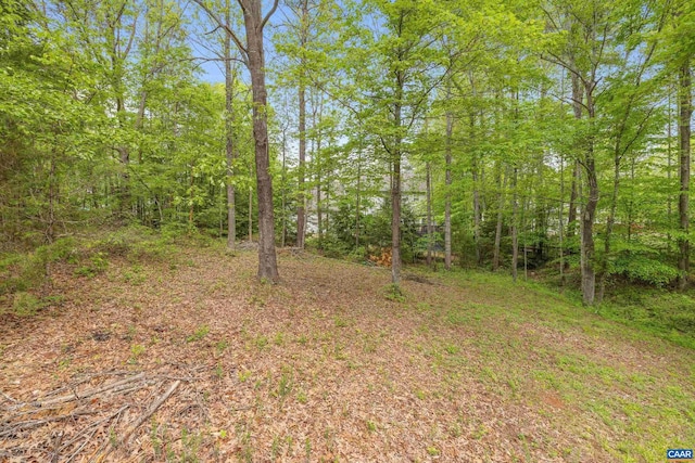 28 Begum Rd, Palmyra, VA 22963 - view of yard featuring a forest view