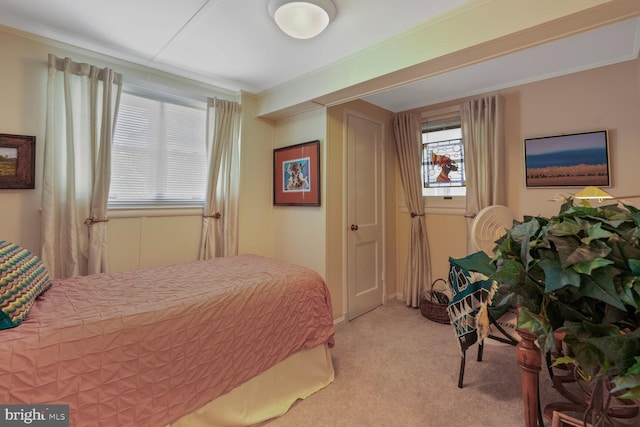 3305 Shirley Ln, Chevy Chase, MD 20815 - bedroom with light carpet and ornamental molding