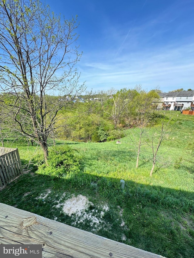 104 Seabreeze, Winchester, VA 22602 - view of yard