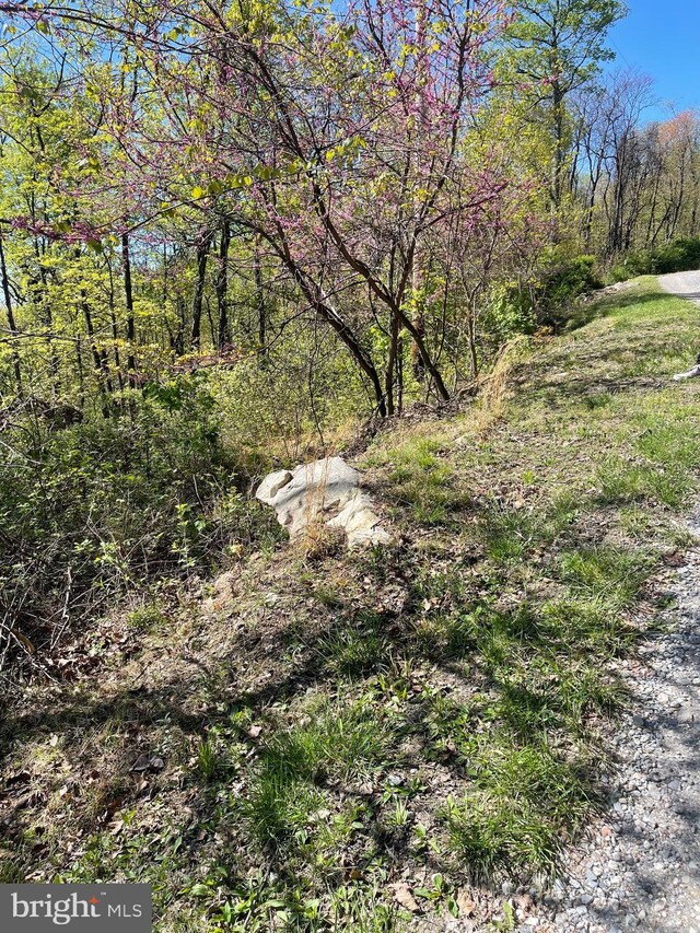 Arran Ln, Hedgesville, WV 25427