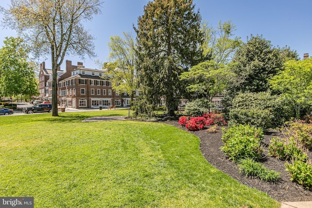 31 Palmer Sq W Unit A, Princeton, NJ 08542 - view of property's community with a yard