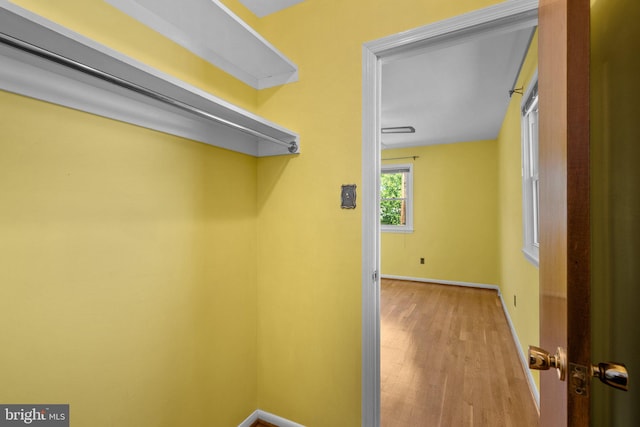 spacious closet featuring wood finished floors