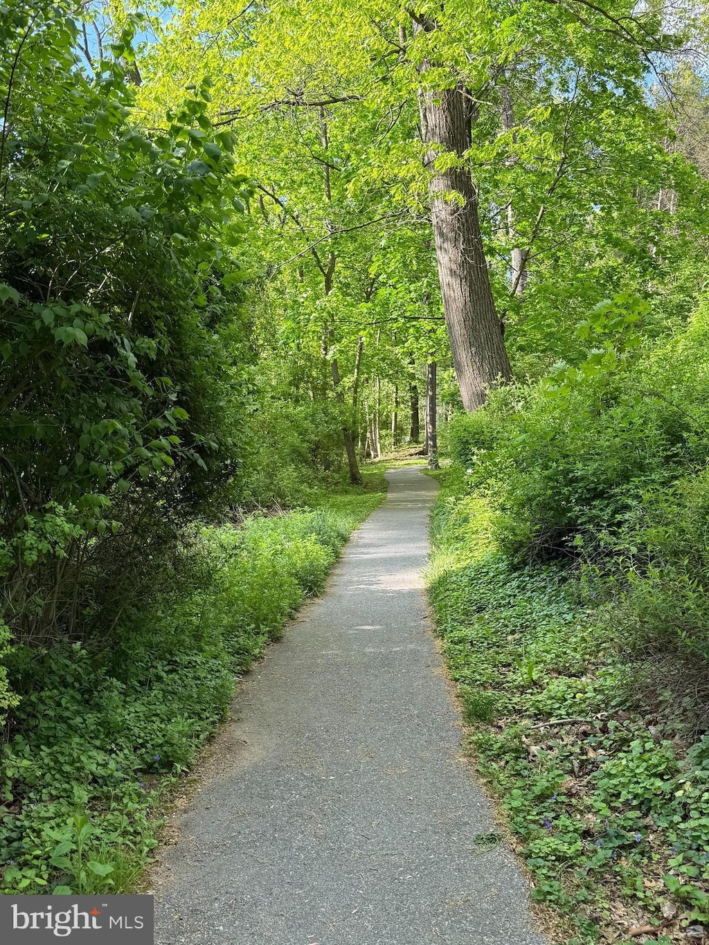 view of community with a wooded view