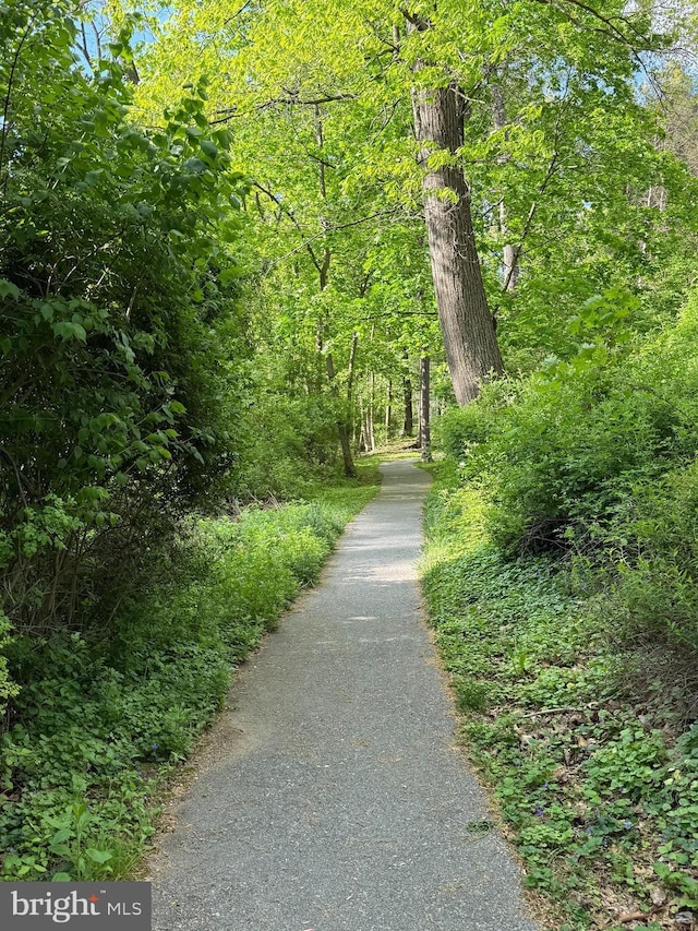 view of community with a wooded view
