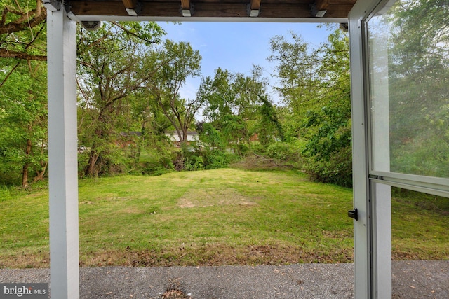 view of yard