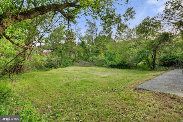 view of yard