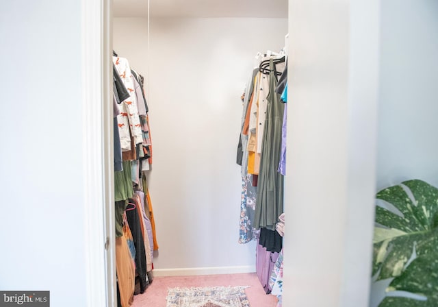 spacious closet with light carpet