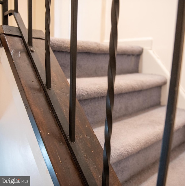 stairway featuring carpet