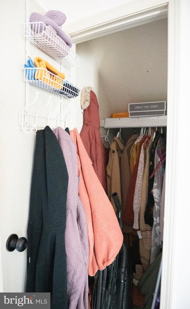 view of closet