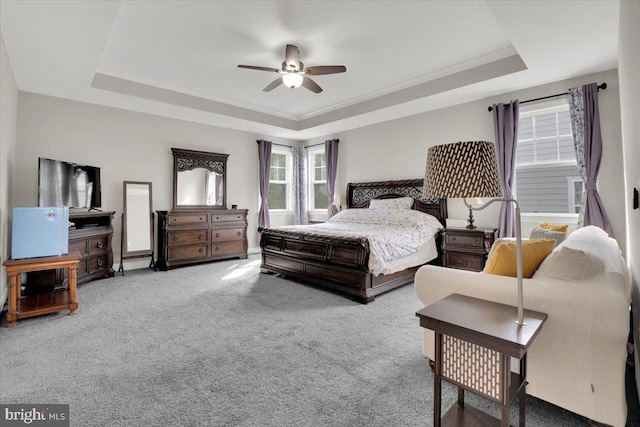 40918 White Clover Ln, Aldie, VA 20105 - carpeted bedroom with a raised ceiling and ceiling fan