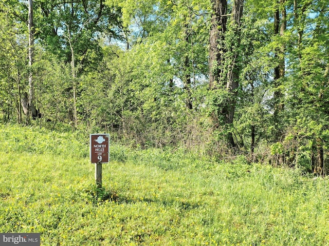 Briar Mountain Dr, Shepherdstown, WV 25443