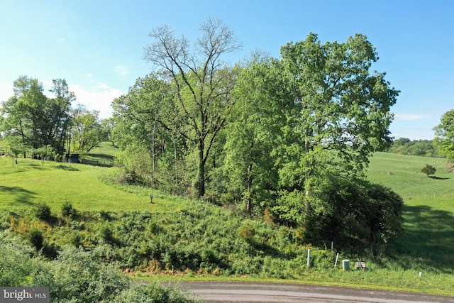 Briar Mountain Dr, Shepherdstown, WV 25443