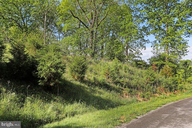 Briar Mountain Dr, Shepherdstown, WV 25443