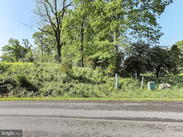 Briar Mountain Dr, Shepherdstown, WV 25443