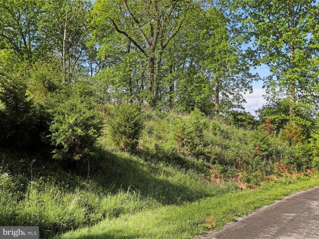 Briar Mountain Dr, Shepherdstown, WV 25443