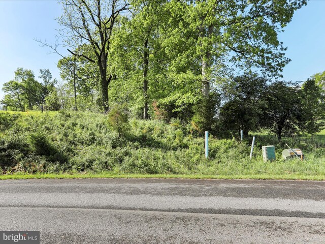 Briar Mountain Dr, Shepherdstown, WV 25443