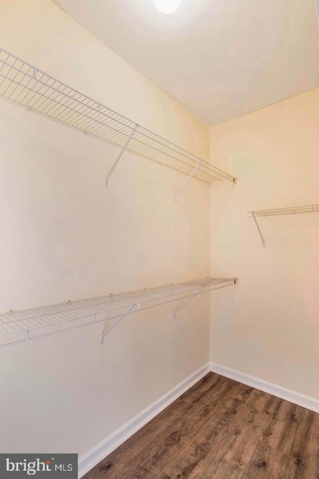 walk in closet with dark wood-style floors
