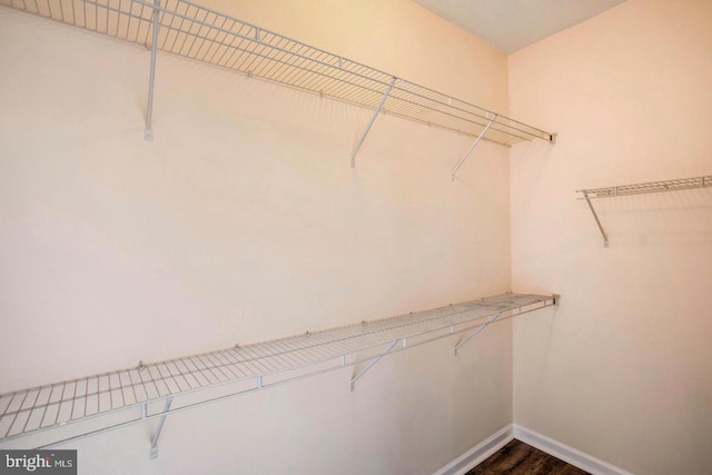 walk in closet with dark wood-style floors
