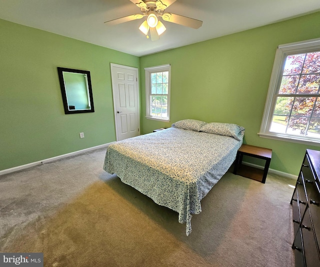 carpeted bedroom featuring a ceiling fan, baseboards, and multiple windows