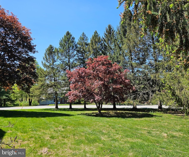 view of home's community with a lawn