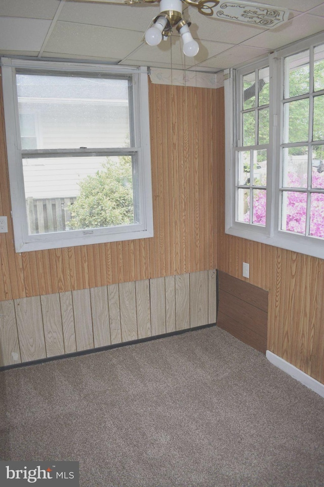 1920 Potomac Rd, Edgewater, MD 21037 - empty room with carpet floors, a ceiling fan, wooden walls, and a healthy amount of sunlight