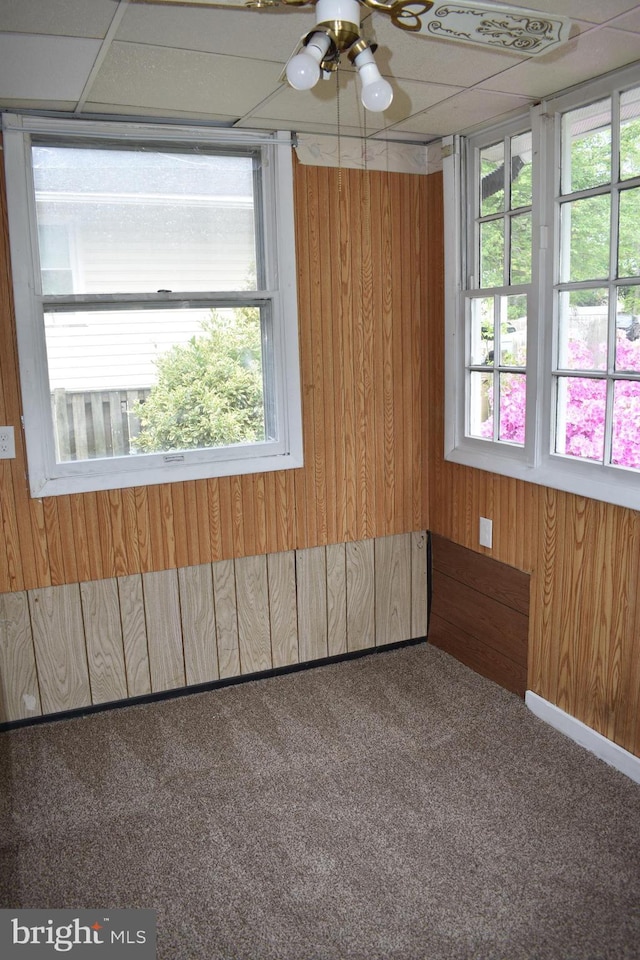 1920 Potomac Rd, Edgewater, MD 21037 - carpeted empty room featuring ceiling fan, wood walls, and a healthy amount of sunlight