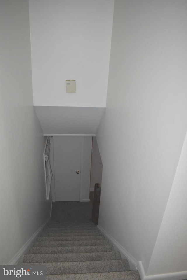 1920 Potomac Rd, Edgewater, MD 21037 - staircase with carpet flooring