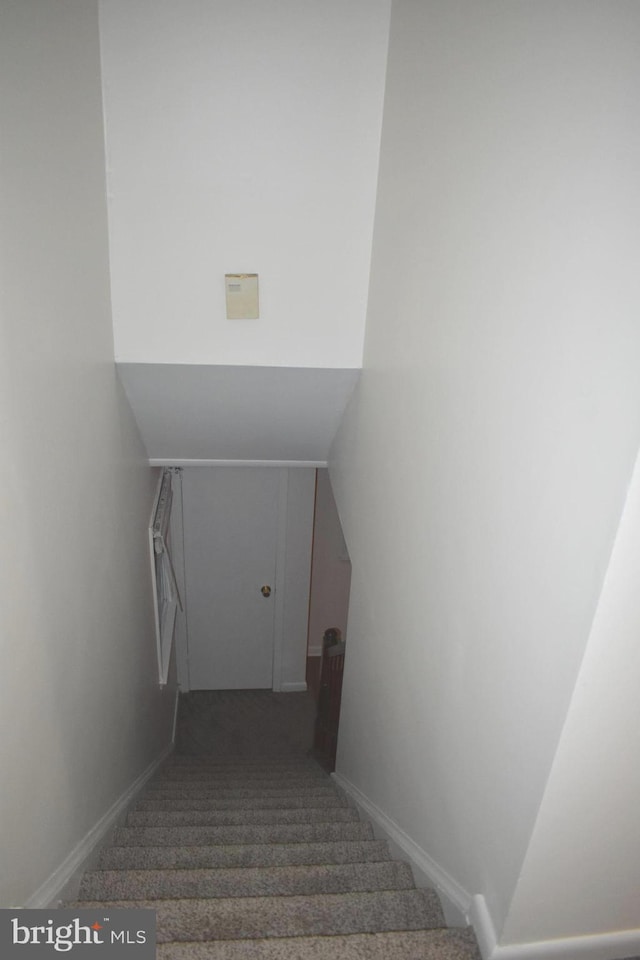 1920 Potomac Rd, Edgewater, MD 21037 - stairs featuring carpet