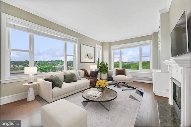 2600 Pennsylvania Ave NW Unit 601/6D, Washington, DC 20037 - living area featuring ornamental molding, healthy amount of natural light, hardwood / wood-style flooring, and a premium fireplace