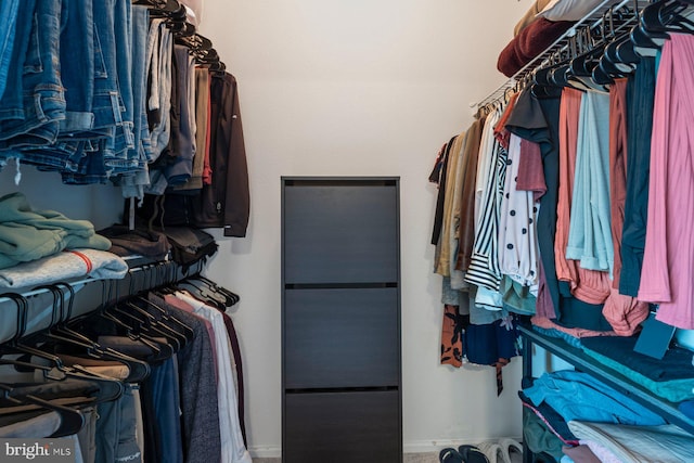 view of spacious closet